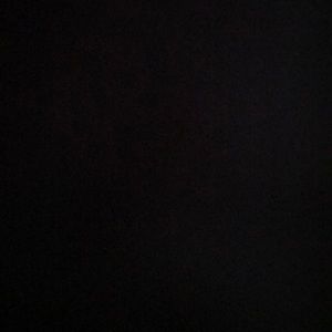 Meet your Posher, Jessie